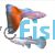 Pair Sky Blue Orange Tail Guppy