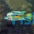 Parrot Cichlid