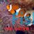 2x Orange and White Clownfish