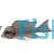 Princess Cichlid 