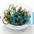 Cryptocoryne Wendtii - Tissue Culture 