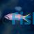Purple Queen Anthias - Medium