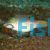 Puffer-Blue Dot - Medium