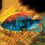 Flame Back Cichlid (Pundamilia Nyererei) 