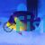 Purple Mask Angelfish