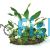 Garden - Rainforest
