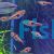 Red Rasbora Hengeli