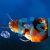 Red Ramshorns Snail - Medium