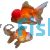 Red & White Oranda 15cm