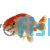 Red & White Ranchu