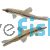 Rocket Tail Pencilfish - Wild Caught 