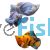 Sailfin Balloon Molly 4cm