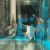 Scalare Angelfish Rio Nanay