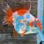 Short Tail Oranda