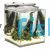 Tank And Fish Bundle