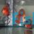 Solid Red Cover Discus