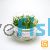 Tropica TC - Cryptocoryne Parva