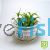 Tropica TC Cryptocoryne Wendtii Green