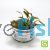 Tropica TC Cryptocoryne Wendtii 'Mi Oya'