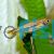 Sarawak Rasbora 4cm