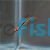 Twin Stripe Pencilfish