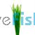 Vallisneria - Thin Bunch