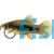 Variatus Green Platy