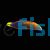Wrasse Yellowtail Coris