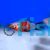 Comet Tiger Platy