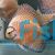 Yellow Tiger Discus 