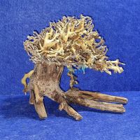 Bonsai Driftwood 15cm x 12cm 
