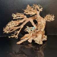 Bonsai Driftwood 25cm x 20cm