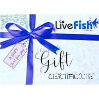 Livefish Gift Card