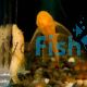 L/F ALBINO BRISTLENOSE CATFISH 
