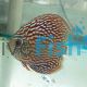 Altum Flora Discus 