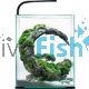 AquaEL Shrimp Set 20 - Black
