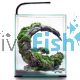 AquaEl Shrimp Tank Set 30 - Black