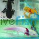 Assorted Axolotl