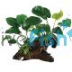 Double Driftwood - Assorted Anubias