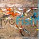 75x Assorted Male Guppy 3-4cm