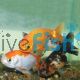 Assorted Ranchu