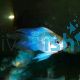 Balloon Electric Blue Longfin Ram