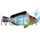 Bicolor Parrotfish - Large