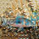 Bronze Corydoras 
