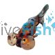 Bubble Eye Calico 7cm