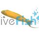 Canary Blenny - Medium