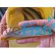 Golden Eel Tail Catfish 