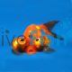 Celestial Eye Goldfish