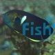 Keyhole Angelfish