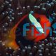 Cinnamon Clownfish - Medium